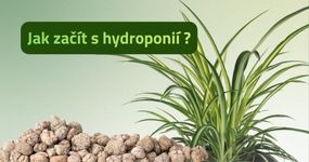 Péče o pokojové květiny a tipy od nás